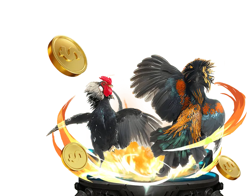 Các câu hỏi thường gặp khác về Xóc Đĩa